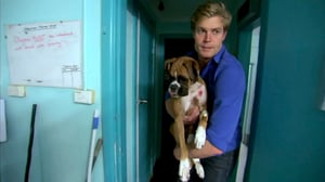 Bondi Vet, Season 3 Episode 14 image