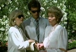 Falcon Crest, Season 7 Episode 10 image