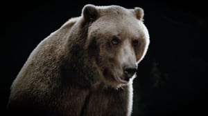 Yukon Men, Season 1 Episode 3 image