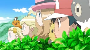Pokémon, Season 17 Episode 12 image
