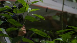 Men Women Wild, Season 1 Episode 6 image