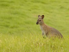 Outside Beyond the Lens, Season 1 Episode 1 image