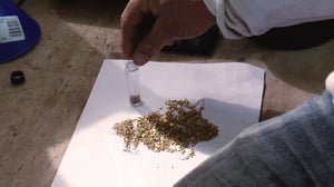 Bering Sea Gold, Season 2 Episode 6 image