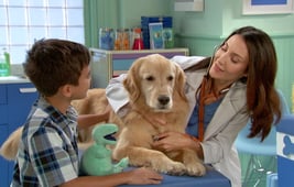 Mutt & Stuff, Season 1 Episode 13 image