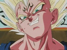 Dragon Ball Z, Season 13 Episode 10 image