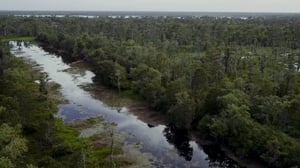 Killing Fields, Season 2 Episode 2 image