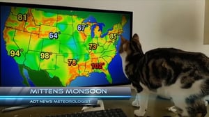 Howie Mandel's Animals Doing Things, Season 2 Episode 4 image