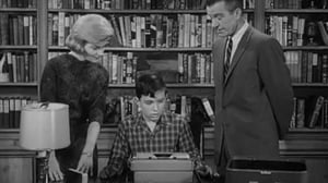 Leave It to Beaver, Season 5 Episode 29 image