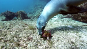 Journey with Dylan Dreyer, Season 2 Episode 16 image