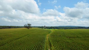 Tomorrow's World Today, Season 3 Episode 5 image