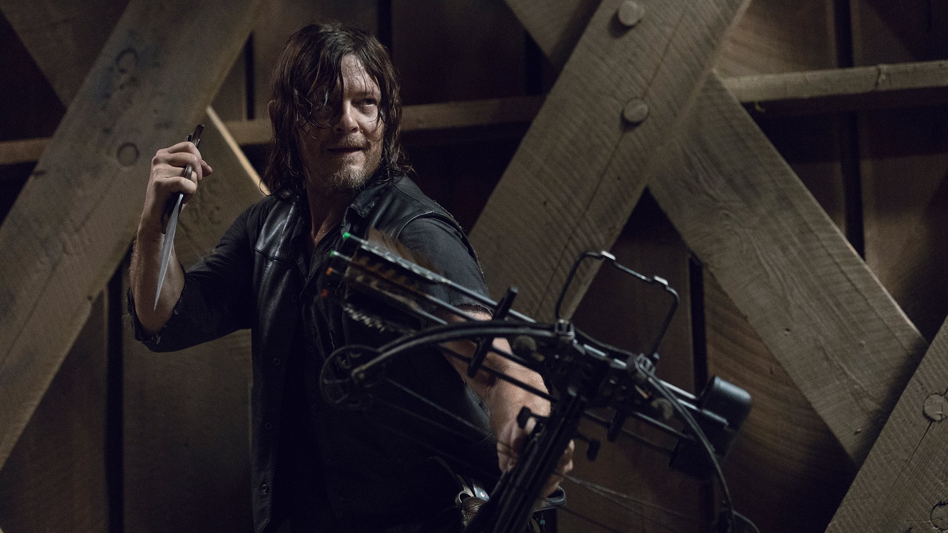 Norman Reedus, The Walking Dead