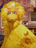 Sesame Street, Season 53 Episode 10 image