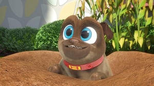 Puppy Dog Pals, Season 3 Episode 16 image