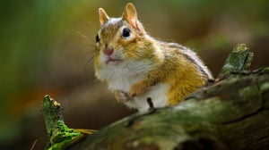 Tiny World, Season 1 Episode 5 image