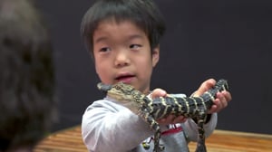 The Little Couple, Season 13 Episode 3 image