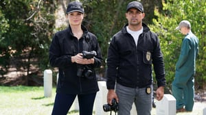 NCIS, Season 20 Episode 3 image