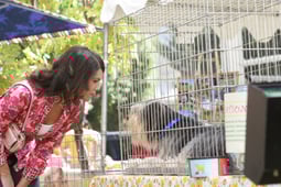 Gilmore Girls, Season 6 Episode 2 image