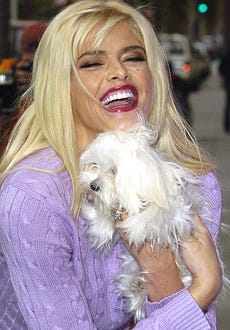 Anna Nicole Smith - "Gentlemen Prefer Fur-Free Blondes" Ad for PETA in Beverly Hills, December 7, 2004