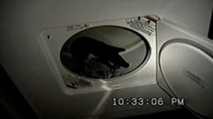 Funniest Pets & People, Season 7 Episode 12 image