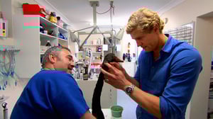 Bondi Vet, Season 5 Episode 1 image