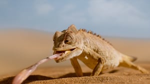 Tiny World, Season 2 Episode 6 image