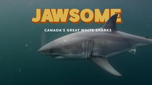 The Nature of Things, Season 63 Episode 4 image