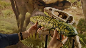 Andy's Dinosaur Adventures, Season 1 Episode 9 image