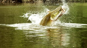 River Monsters, Season 6 Episode 6 image