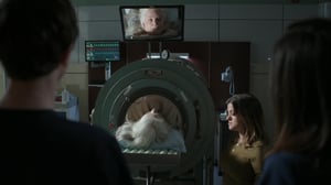 The Good Doctor, Season 5 Episode 15 image