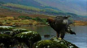 Digging for Britain, Season 9 Episode 3 image