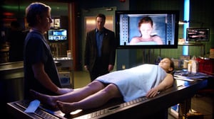 CSI: NY, Season 7 Episode 17 image