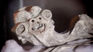 River Monsters, Season 3 Episode 3 image