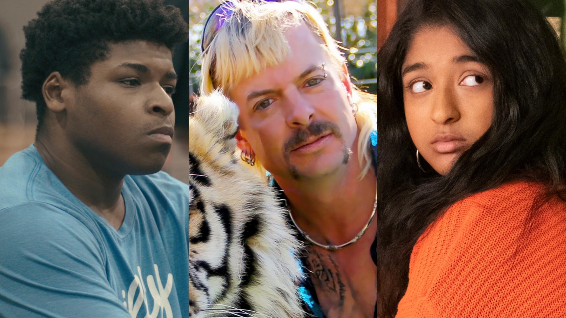 Cheer, Tiger King, and Never Have I Ever