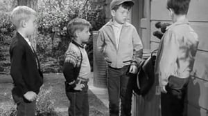 Leave It to Beaver, Season 1 Episode 32 image