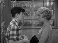 Leave It to Beaver, Season 5 Episode 15 image