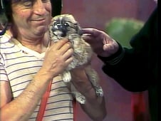 El Chavo del Ocho, Season 4 Episode 38 image