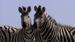 Moving Art, Season 2 Episode 3 image