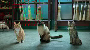 Scaredy Cats, Season 1 Episode 4 image