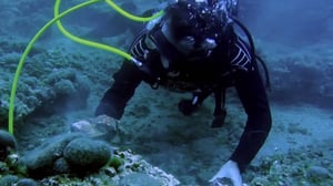 Solving History with Olly Steeds, Season 1 Episode 3 image