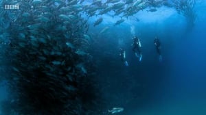 The Earthshot Prize: Repairing Our Planet, Season 1 Episode 4 image