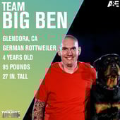 America's Top Dog, Season 3 Episode 3 image