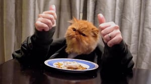 The World's Funniest Animals, Season 1 Episode 13 image