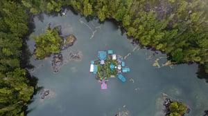 Ageless Gardens, Season 3 Episode 2 image