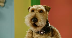 Monty & Co., Season 1 Episode 4 image