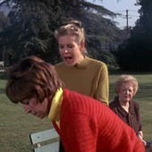 Bewitched, Season 3 Episode 15 image