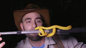 Brave Wilderness, Season 3 Episode 6 image