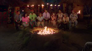 Survivor, Season 17 Episode 1 image