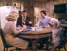 Here's Boomer, Season 2 Episode 3 image