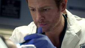 Chicago P.D., Season 2 Episode 11 image