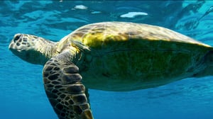 Our Universe, Season 1 Episode 4 image